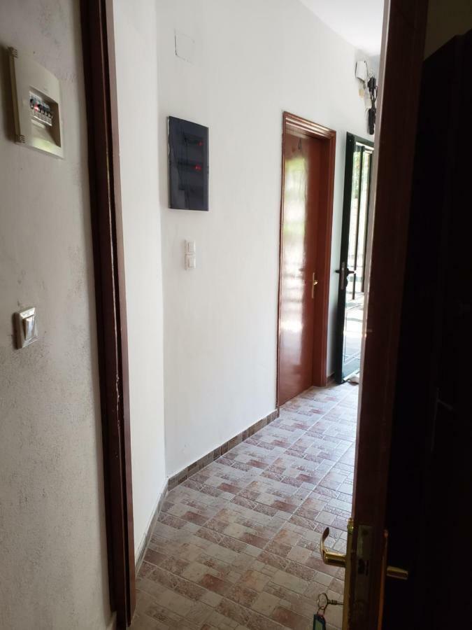 Icthyoessa Apartment Agios Kirykos  Ngoại thất bức ảnh